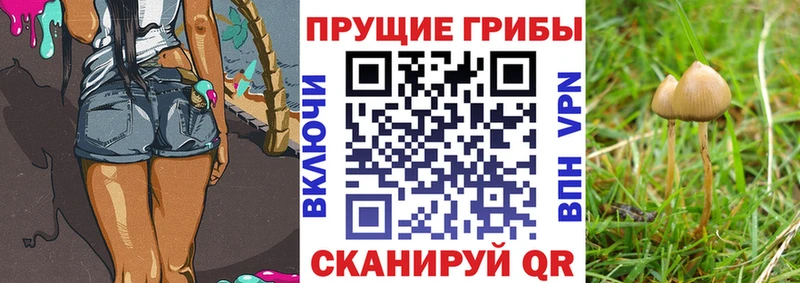 Галлюциногенные грибы мицелий  сколько стоит  мега ССЫЛКА  Солигалич 