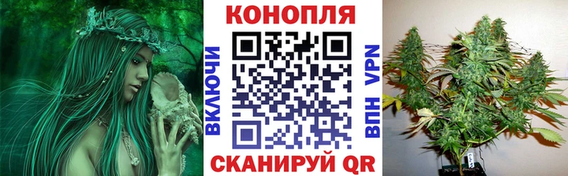 Канабис ГИДРОПОН  Солигалич 